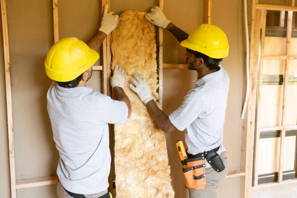 Best Blown-In Insulation  in Cochituate, MA